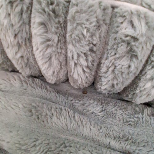 BEDSURE **COVER ONLY** PLUSH PET BED COVER - XL - GREY image 4