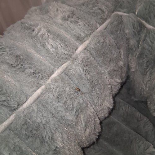 BEDSURE **COVER ONLY** PLUSH PET BED COVER - XL - GREY image 5
