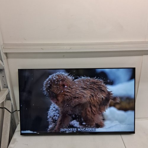 FPD 43" FLAT SCREEN LED SMART TV COMPATIBLE WITH GOOGLE TV & GOOGLE CAST - 1080P FULL HD, HDR 10, DOLBY AUDIO, VOICE REMOTE, PALETTE SERIES - BLACK (MODEL: CG43-P3) image 6