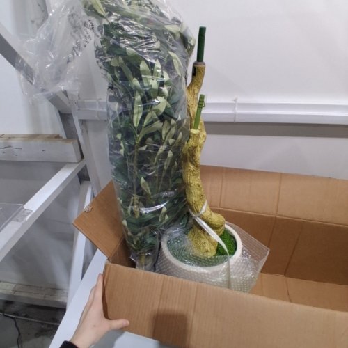 REALEAD ARTIFICIAL OLIVE TREE - 6FT - GREEN (MODEL: REJTGLSXP01-6FT) image 2