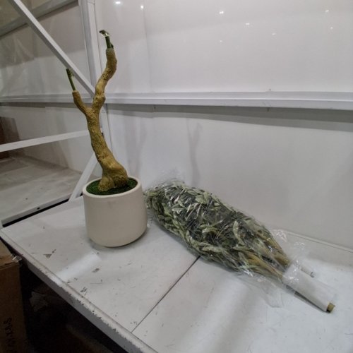 REALEAD ARTIFICIAL OLIVE TREE - 6FT - GREEN (MODEL: REJTGLSXP01-6FT) image 3