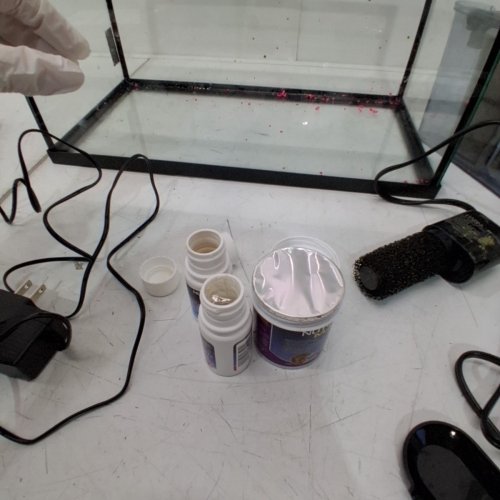 MARINA LED AQUARIUM STARTER KIT - 5GAL (19L) - BLACK/CLEAR (MODEL: 15251) image 6