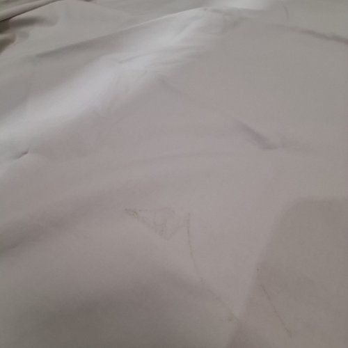 3PC KIRKLAND SIGNATURE 680 THREAD COUNT SHEET & PILLOWCASES - QUEEN - BEIGE image 5