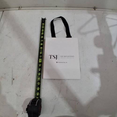 200PK *APPROX* "THE SKIN JOURNEY" MEDICAL AESTHETICS BRANDED PAPER SHOPPING BAG - 16" X 8" - WHITE image 3