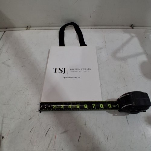 200PK *APPROX* "THE SKIN JOURNEY" MEDICAL AESTHETICS BRANDED PAPER SHOPPING BAG - 16" X 8" - WHITE image 4