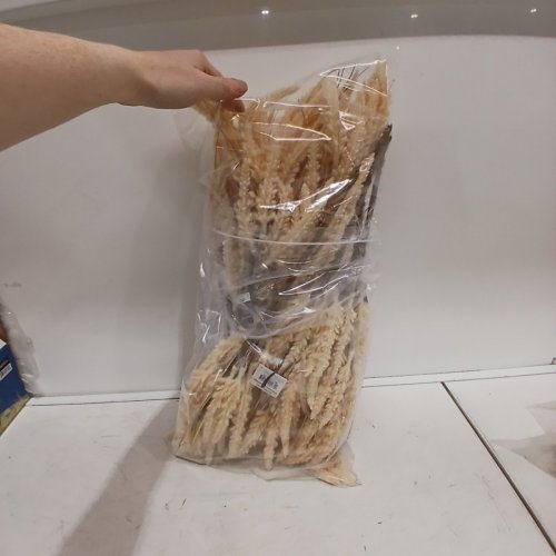 12 WAY TO CELEBRATE! DECORATIVE WHEAT STEMS - 16" - TAN (ITEM: DV6-0XRFA1116B) image 3