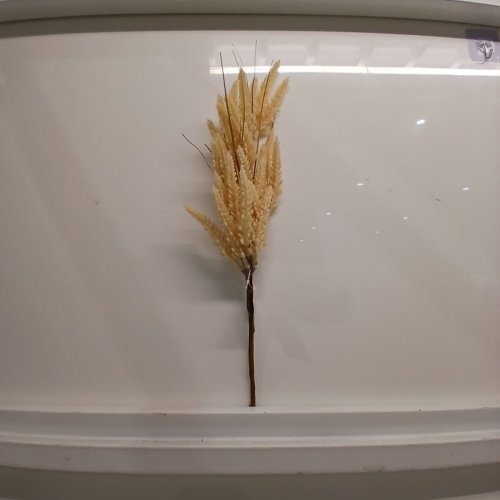 12 WAY TO CELEBRATE! DECORATIVE WHEAT STEMS - 16" - TAN (ITEM: DV6-0XRFA1116B) image 4