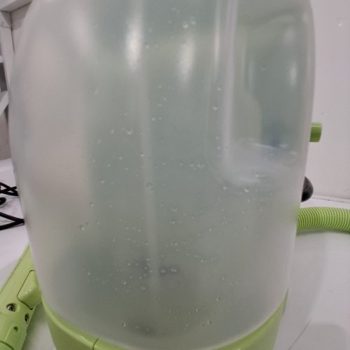 BISSELL LITTLE GREEN MINI PORTABLE CARPET CLEANER WITH WATER SPRAYING- GREEN (MODEL : 4095) image 3