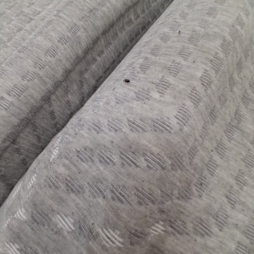 CERTIPUR-US TRI FOLDING FOAM POLYESTER BLEND MATTRESS PAD - 75" X 25" X 4" - GREY image 2