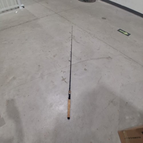 BPS FISH EAGLE SPINNING ROD - MEDIUM - 6FT 6" (MODEL: FEGL66MS-2) image 2