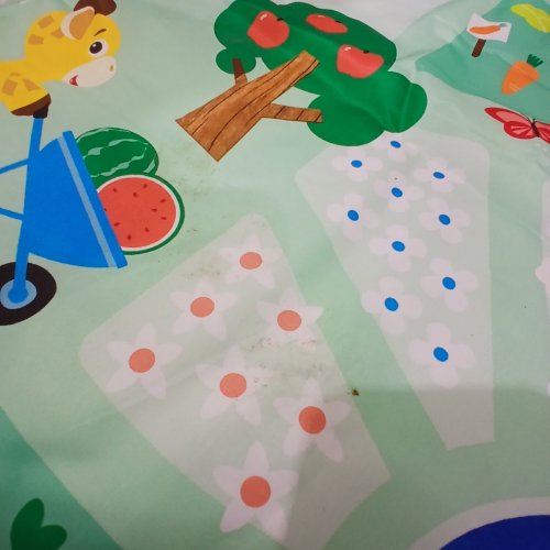 BABY EINSTEIN 4-IN-1 FARM EXPLORERS KICKIN’ TUNES MUSICAL MEADOW MUSIC AND LANGUAGE DISCOVERY GYM image 5