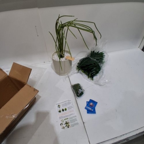 ARTIFICAL POTTED DECORATIVE PALM TREE PLANT - 2FT - GREEN/WHITE image 2