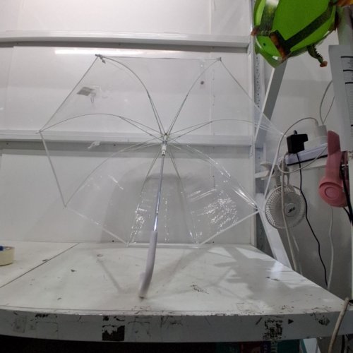 CLEAR DOME UMBRELLA - WHITE / CLEAR image 4