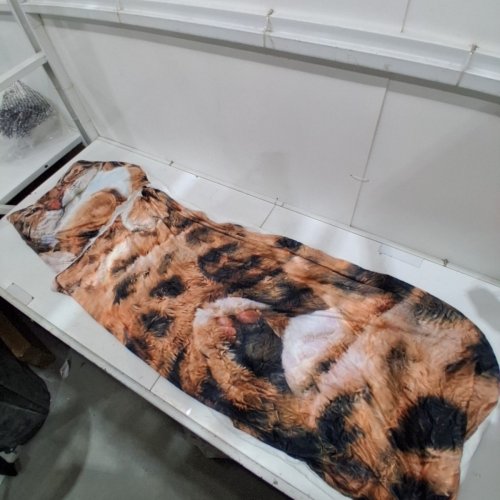 CAT SLEEPING BAG SOFT WARM PORTABLE LIGHTWEIGHT image 2