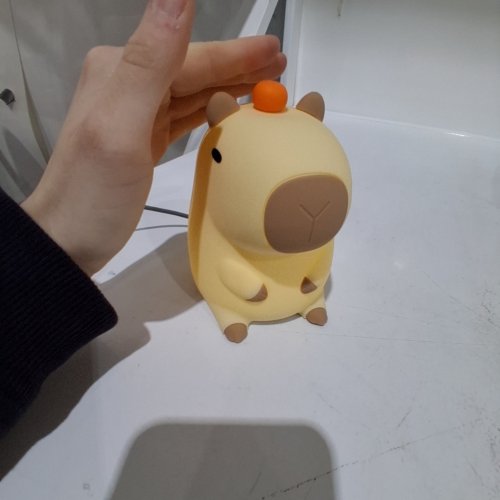 CAPYBARA SILICONE RECHARGEBLE NIGHT LIGHT WITH LONG LASTING BATTERY AND BUILT IN TIMER - 5 V - BEIGE image 2