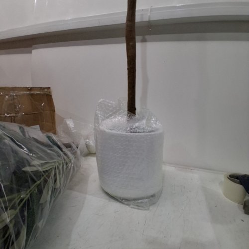 ARTIFICAL OLIVE TREE WITH POT FOR HOME LIVING ROOM - 8FT - WHITE / GREEN image 3