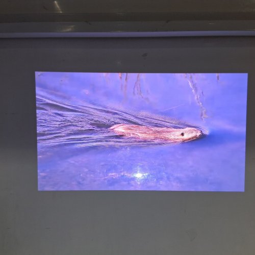HISENSE 4K UHD SMART VIDAA PROJECTOR - 65"-200" PROJECTION SIZE - Triple Colour Laser, Optical Zoom, AI 4K Upscaler, 1300 ANSI Lumens - (Model: M2 PRO) image 8