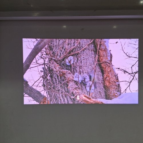 HISENSE 4K UHD SMART VIDAA PROJECTOR - 65"-200" PROJECTION SIZE - Triple Colour Laser, Optical Zoom, AI 4K Upscaler, 1300 ANSI Lumens - (Model: M2 PRO) image 10