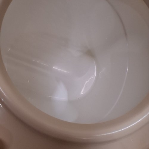 IRIS TOP ENTRY OVAL CAT LITTER BOX - WHITE/BEIGE (MODEL: 589620) image 3