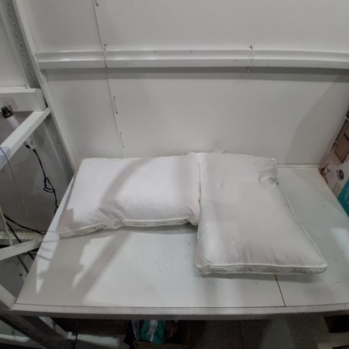 2PK ROOTS HOME HYPOALERGENIC PILLOW WITH 300 THREAD COUNT - QUEEN - WHITE (MODEL: 8007503) image 2