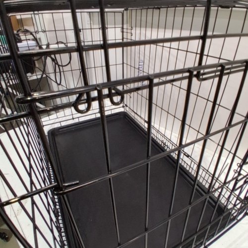 AMAZON BASICS SINGLE DOOR FOLDABLE METAL WIRE DOG CRATE WITH TRAY - 30" X 19" X 21" - BLACK (MODEL: 9001N-30A) image 4