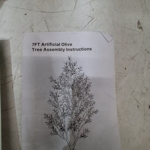 ARTIFICIAL POTTED OLIVE TREE - 7FT - GREEN (ITEM: 0172-NXRG-JS) image 6