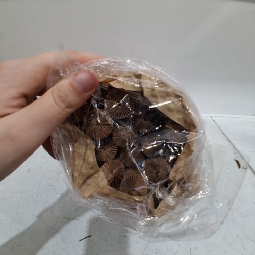 24PK TRAVEL HONEYCOMB PAPER WINE BOTTLE PROTECTOR image 3