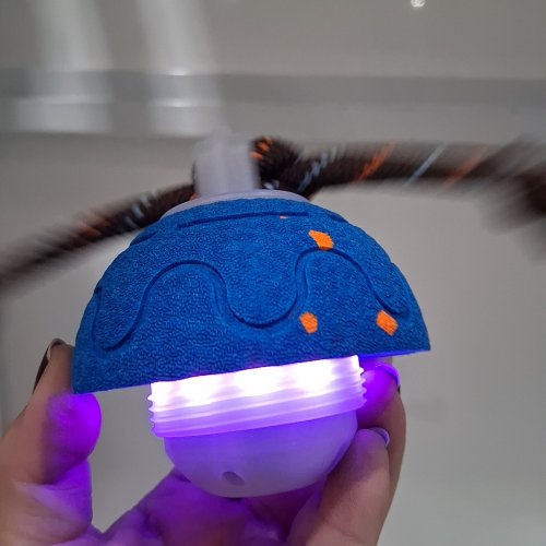 SMART INTERACTIVE DOG BALL WITH LED LIGHTS & BIRD CHIRPING - 2MODES - BLUE/ORANGE image 2