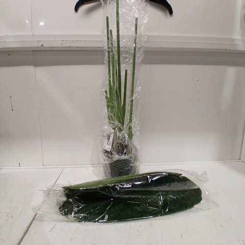 ARTIFICIAL BIRD OF PARADISE FAUX PLANT - 47" - WHITE POT (MODEL: BPLRJ-120) image 3