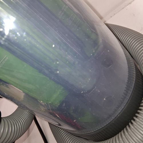 BISSELL LITTLE GREEN PORTABLE DEEP CLEANING VACUUM - 37OZ TANK MAX - GREEN/GREY (MODEL : 2513B) image 4