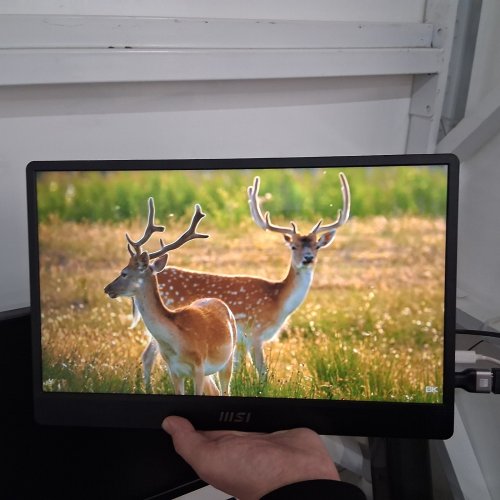 MSI PRO ULTRA-SLIM PORTABLE MONITOR WITH BUILT-IN SPEAKERS - FHD - 15.6" - (MODEL: PRO MP161 E2U) image 3