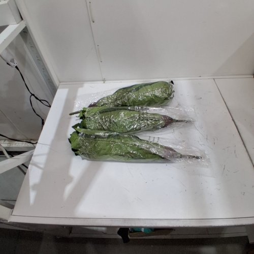 3PK NEARLY NATURAL BIRD'S NEST FERN ARTIFICIAL LEAVES - 23" - GREEN (MODEL: 6034-S3) image 2