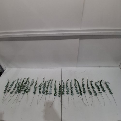 24PC CEWOR ARTIFICIA EUCALYPTUS STEMS - 14" - GREEN image 3