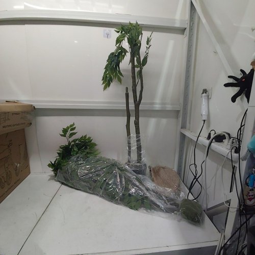 WARMPLANTS ARTIFICIAL 7FT SILK FICUS TREE, WITH DECORATIVE BASKET & FAKE MOSS - GREEN image 2