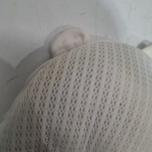 BABY SOOTHING HAND PALM SLEEPING AID - CREAM BEAR image 7