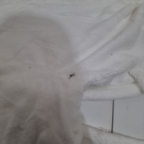 ADULT THRESHOLD SPA PLUSH BATH ROBE - SMALL/MEDIUM - WHITE image 2