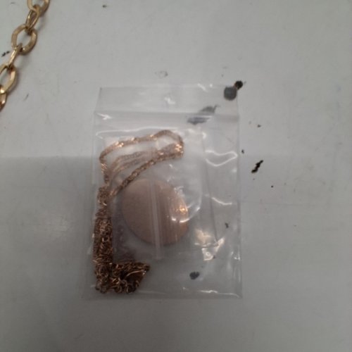 ADULTS HAYA OVAL PENDANT NECKLACE - 25 MM PENDANT/ 20.5-22.5" CHAIN LENGTH - ROSE GOLD TONE image 3