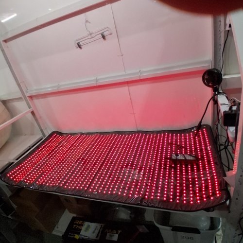 DUAL-WAVELENGTH RED LIGHT THERAPY MAT - BLACK image 2