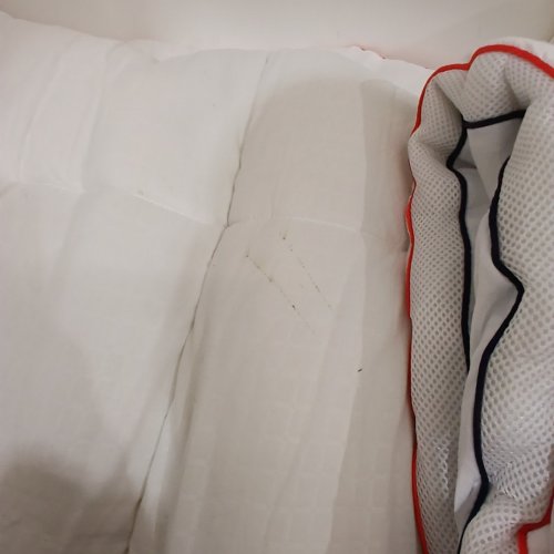 REGOUG SOFT MATTRESS TOPPER WITH DEEP ELASTIC POCKET - QUEEN - WHITE - (MODEL: YL002) image 4