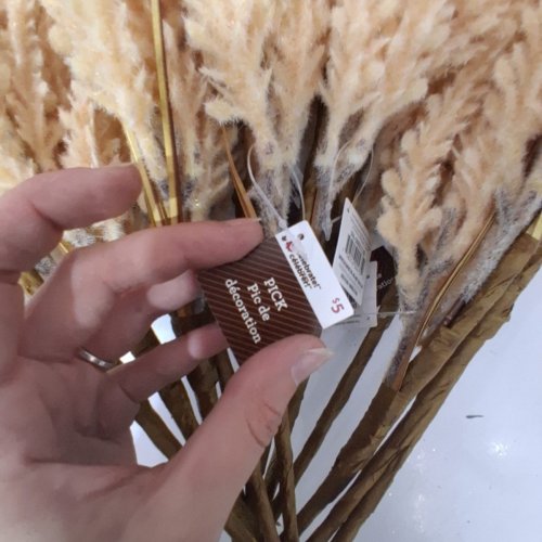 12 WAY TO CELEBRATE! DECORATIVE WHEAT STEMS - 16" - TAN (ITEM: DV6-0XRFA1116B) image 3