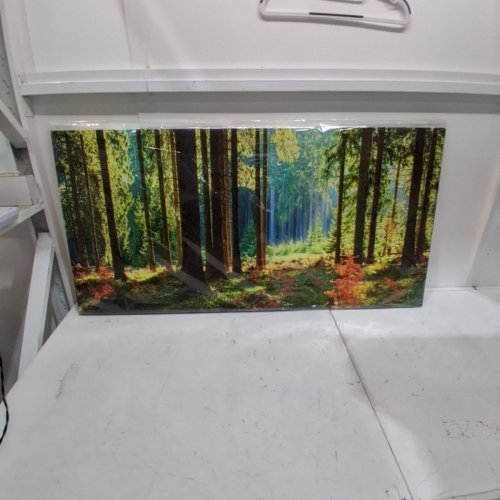 MORINING SUN DRENCHED DEEP FOREST MAJESTY CANVAS WALL ART PAINTING - 47'' X 24'' - GREEN/MULTICOLOR image 2