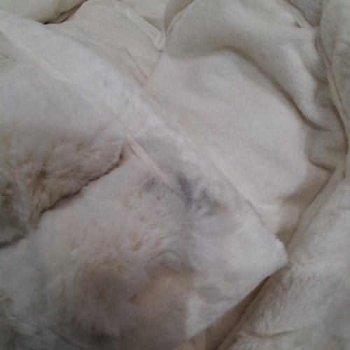 HOUSE & HOME BY LYNDA REEVES LUXE FAUX FUR THROW - 60 " X 70" - WHITE (STYLE: 6536972) image 2