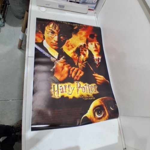 HARRY POTTER AND THE CHAMBER OF SECRETS WALL POSTER - 27" X 40" - MULTICOLOR image 2