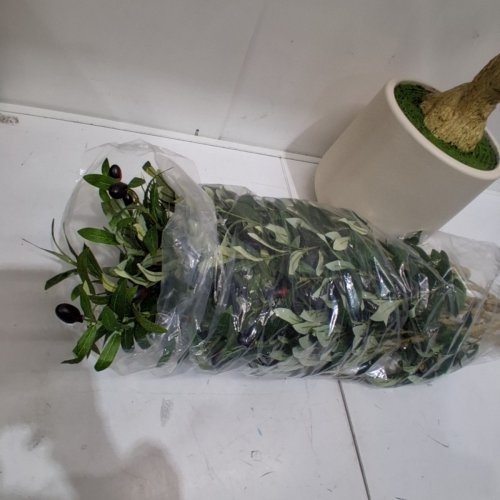 REALEAD FAUX OLIVE TREE - 6FT image 3