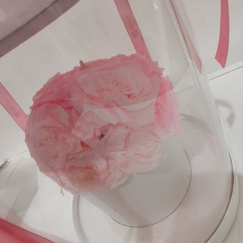 DAKUN ROUND PRESERVED ROSE DISPLAY CASE - PINK image 4