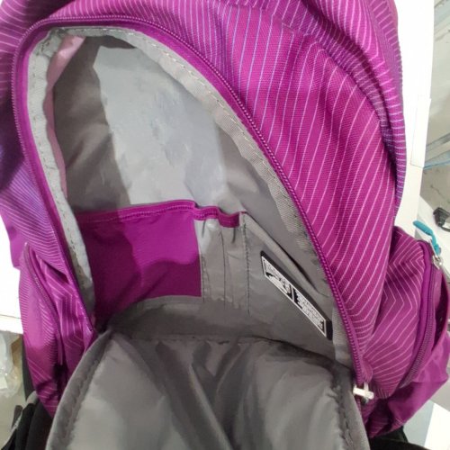 ROOTS LIGHTWEIGHT BACKPACK WITH 15.6 LAPTOP COMPARTMENT - 38 LITERS - PINK/PURPLE (STYLE: 1896125) image 4