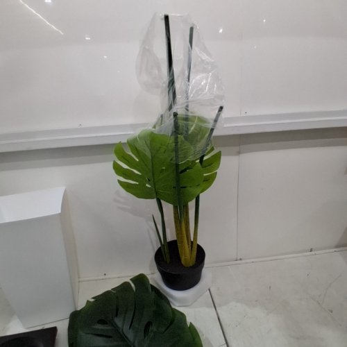 ASTIDY ARTIFICIAL MONSTERA DELICIOSA PLANT WITH VASE -5FT - WHITE - (MODEL:AM5W) image 8