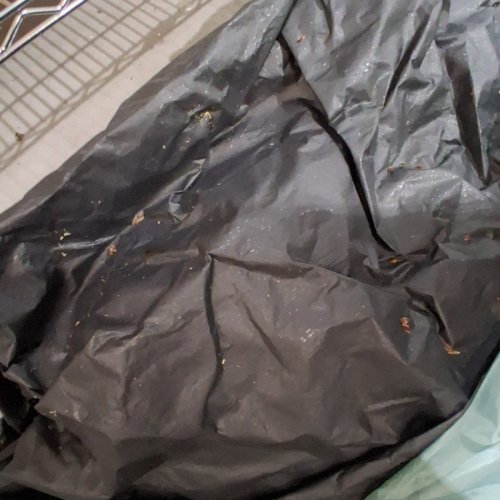 BPS ASCEND 6-PERSON POPUP INSTANT LIGHTED CABIN TENT - 11FT X 9FT - TAN - (MODEL: 4447039) image 4