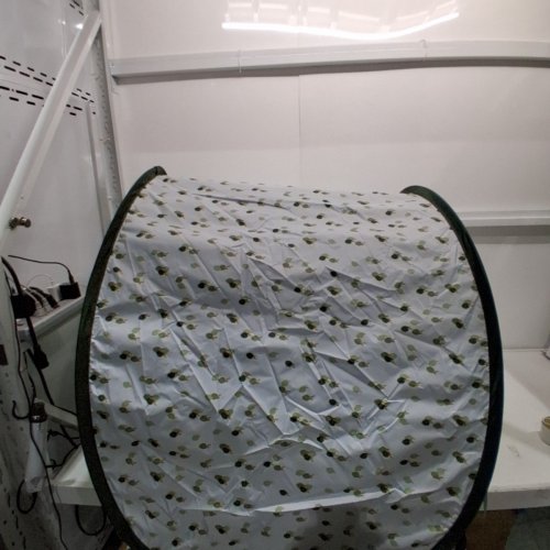 BABY MOOV COLLAPSIBLE FOLDABLE ANTI-UV TENT WITH VELCRO DOOR AND CARRY BAG - 36" X 39" - UPF 50+ - GREEN & WHITE image 3