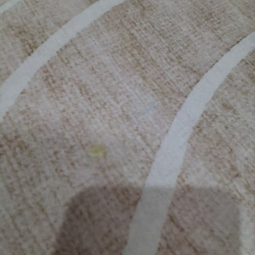 KOSHANI ABSTRACT AREA RUG - 4FT X 6FT - BEIGE AND IVORY (STYLE: EURO-I) image 4